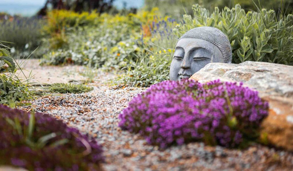 Freigeist Gartengestaltung - Garten Projektfotos - Nahaufnahme - Steinkopf - Gestaltung