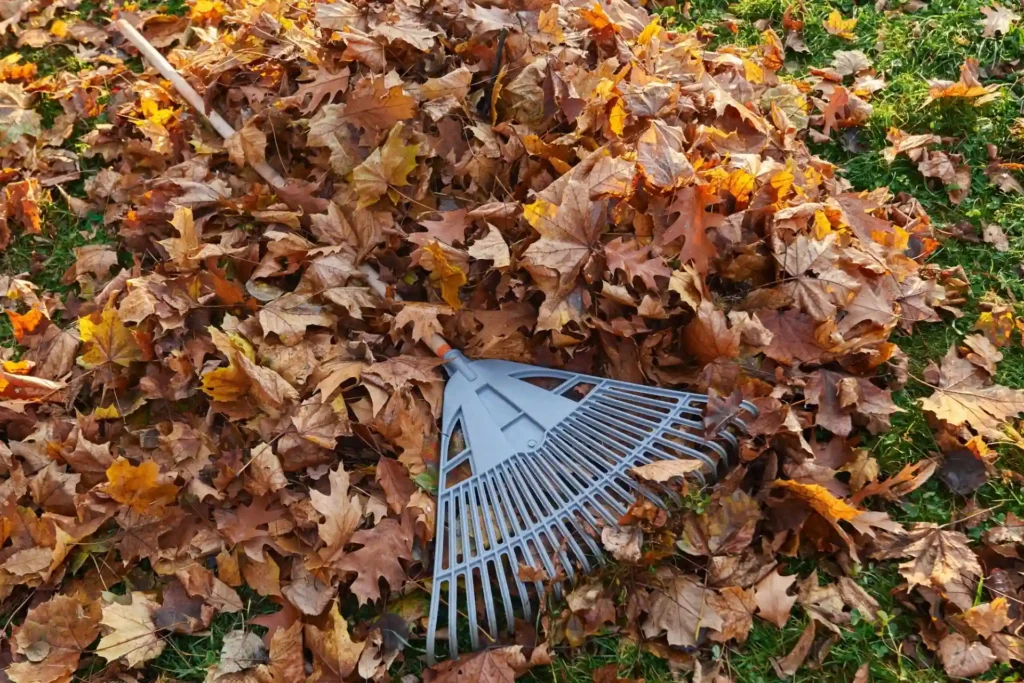 Gartenpflege im Herbst von Freigeist Gartengestaltung
